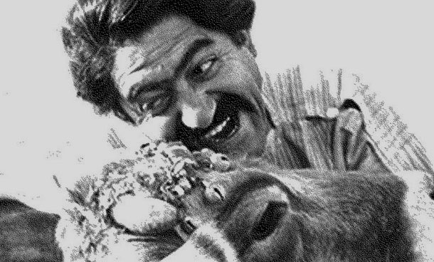 بررسی آثار برگزیده داریوش مهرجویی (از گاو مش حسن تا اجاره نشین ها) 11