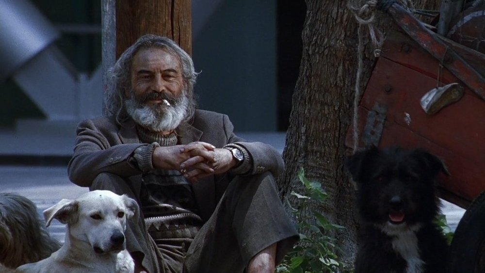 نقد فیلم Amores Perros (عشق سگی) 16 نقد فیلم Amores Perros (عشق سگی) 15