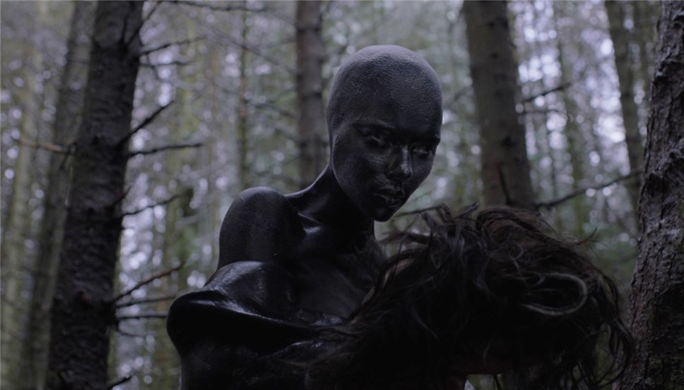 نقد فیلم Under the Skin (زیر پوست) محصول 2013 19