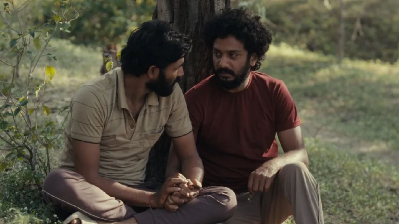 نقد فیلم Cactus Pears | سوگ، هویت و عشق در دل سنت 10 نقد فیلم Cactus Pears | سوگ، هویت و عشق در دل سنت 9