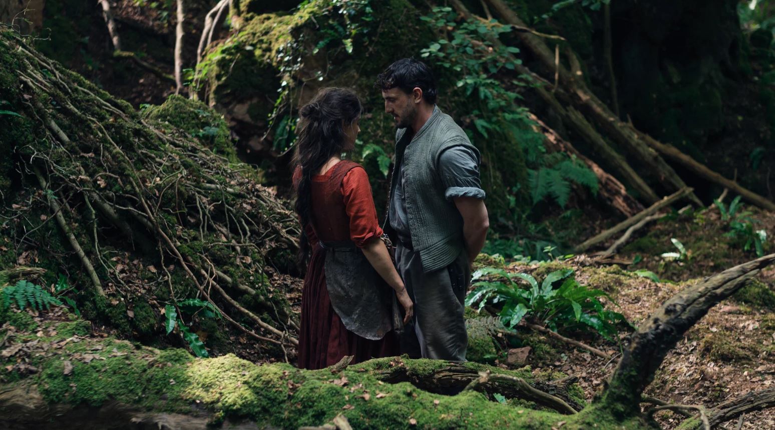 نقد و تحلیل فیلم Hamnet 2025 10 نقد و تحلیل فیلم Hamnet 2025 9