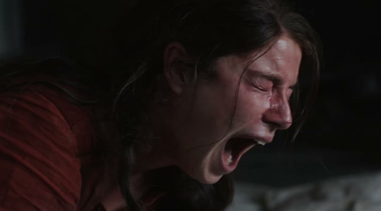 نقد و تحلیل فیلم Hamnet 2025 14 نقد و تحلیل فیلم Hamnet 2025 13