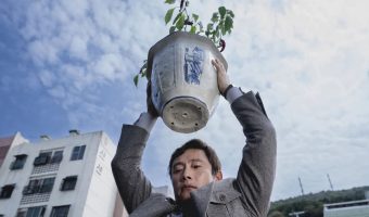 نقد و بررسی فیلم No Other Choice 2025 17